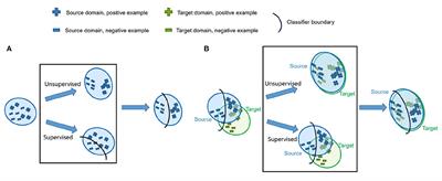 U-shaped GAN for Semi-Supervised Learning and Unsupervised Domain Adaptation in High Resolution Chest Radiograph Segmentation